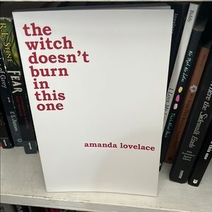 The Witch Doesn't Burn in This One Book